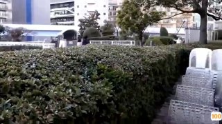 戴碧芝老师的计谋 性教育被反肏爆插嫩穴 NANA 娜娜